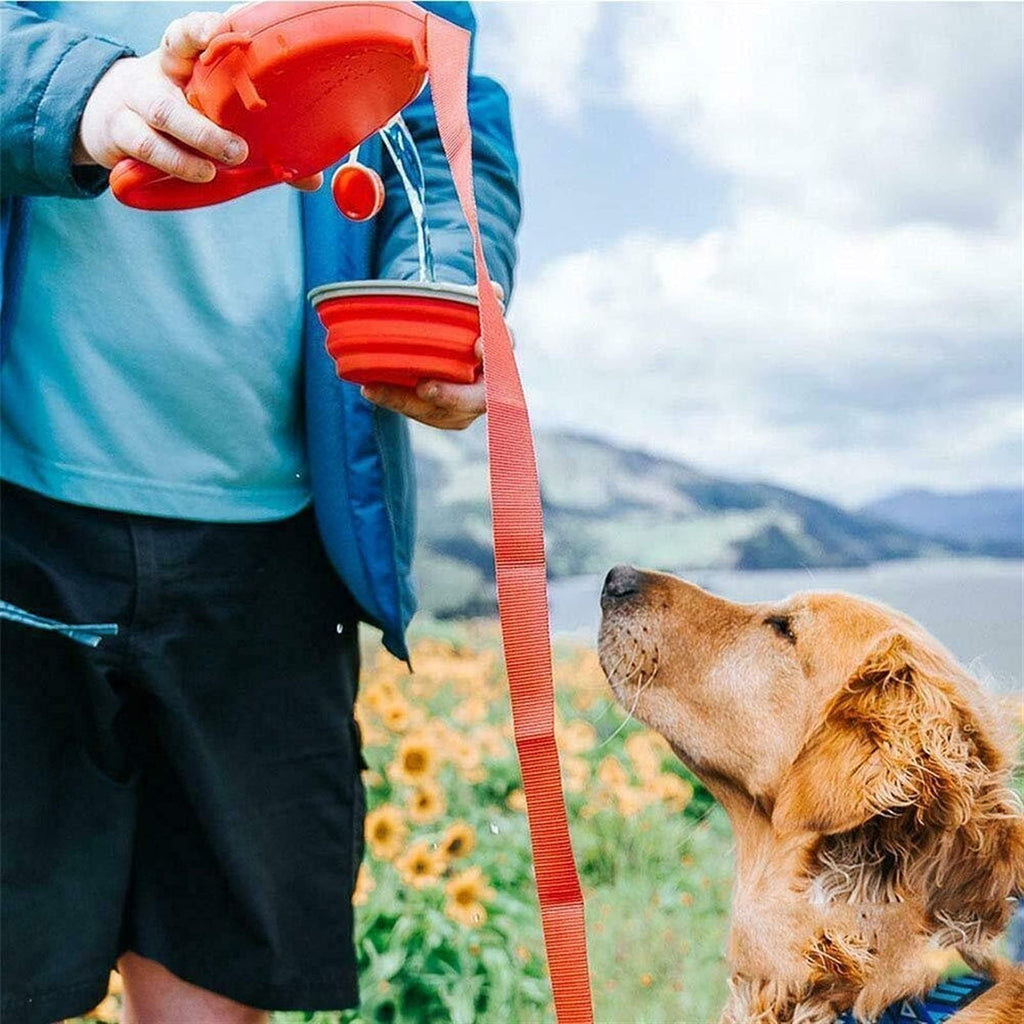 Multi-Functional Dog Leash with Built-in Water Bottle, Travel Bowl & Waste Bag Dispenser